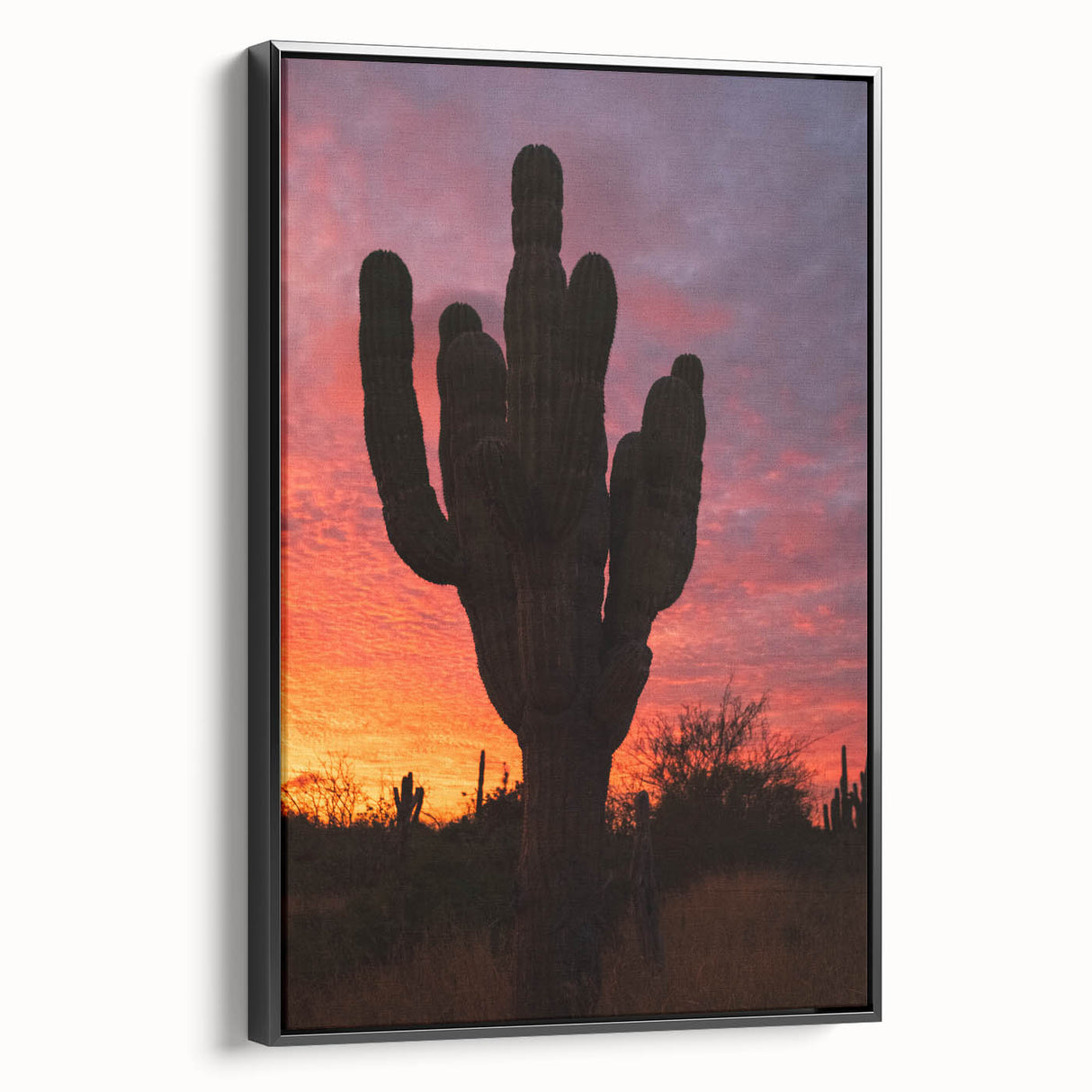 Black and white framed canvas of Baja California landscape in a vintage poster style, ideal for bedroom decor.