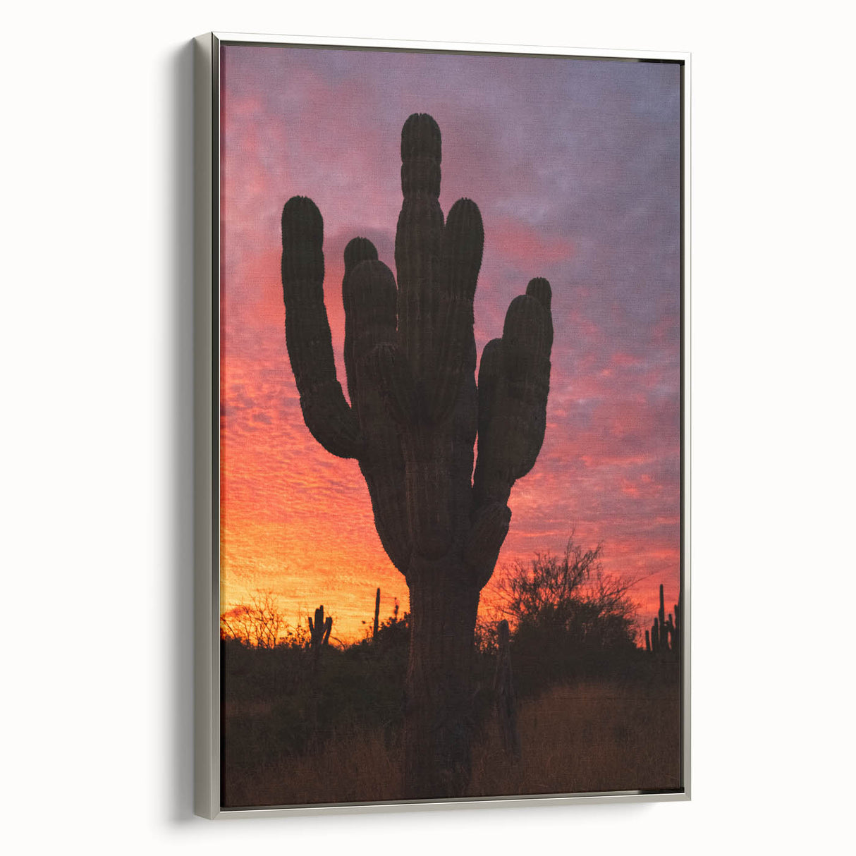 Landscape art painting of Baja California on a silver-framed canvas.