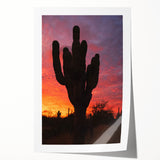 Extra large rolled print of Baja California scenery with vibrant floral elements, ideal for art wall dining room.