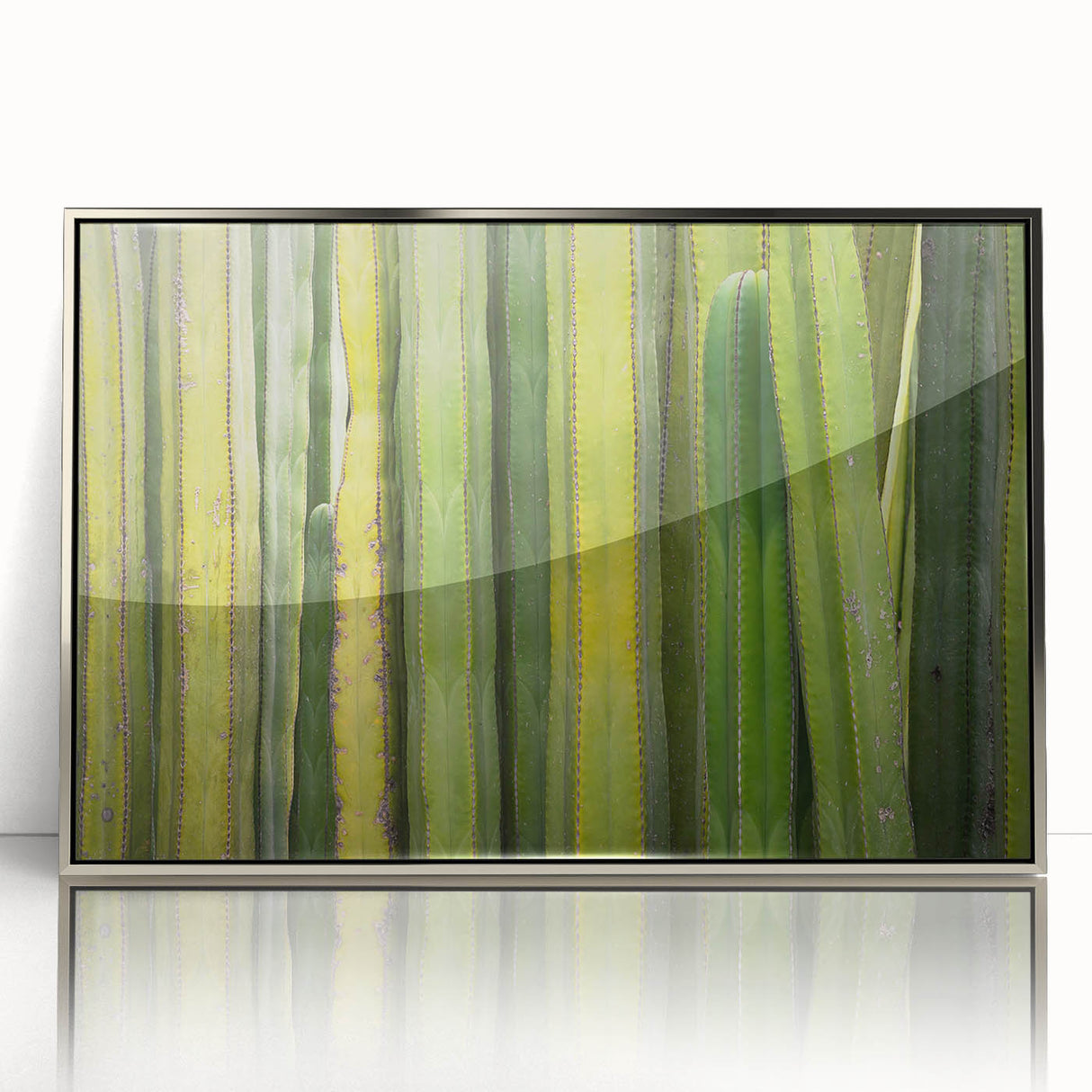 Mid-century modernist art depicting Oaxaca scenery on a silver-framed acrylic print, suitable for nursery wall art.