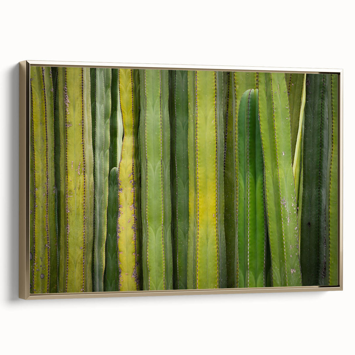 Framed canvas featuring a vintage-style landscape painting of Oaxaca, Mexico with muted earth tones.