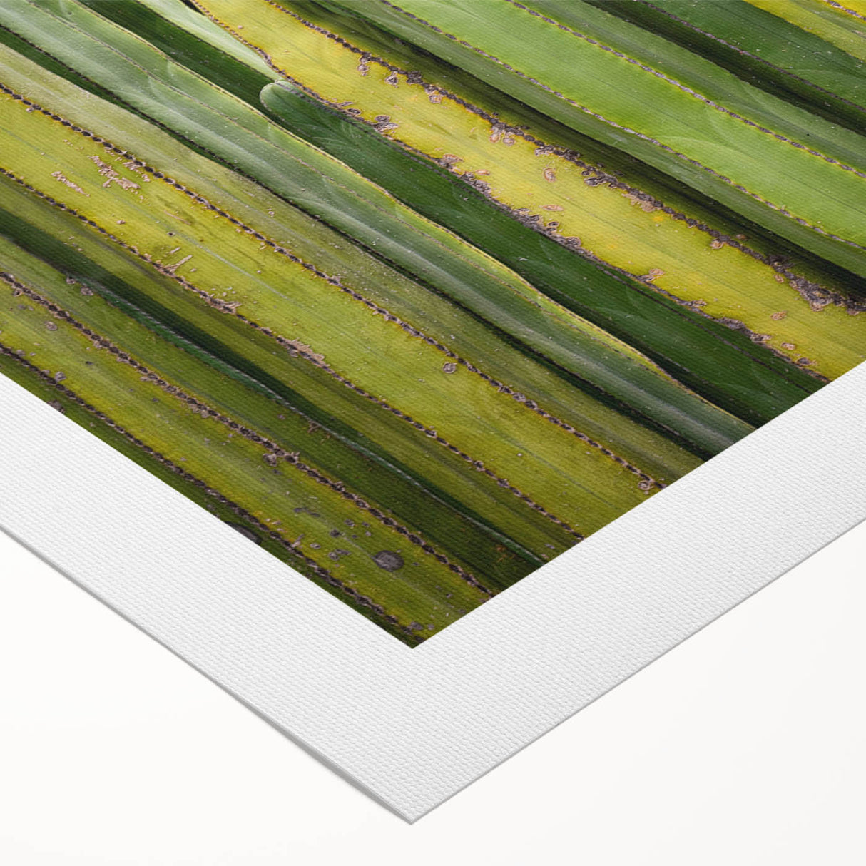 Art deco poster of Oaxaca scenery in vibrant earth tones on rolled canvas, suitable for dining room wall art.