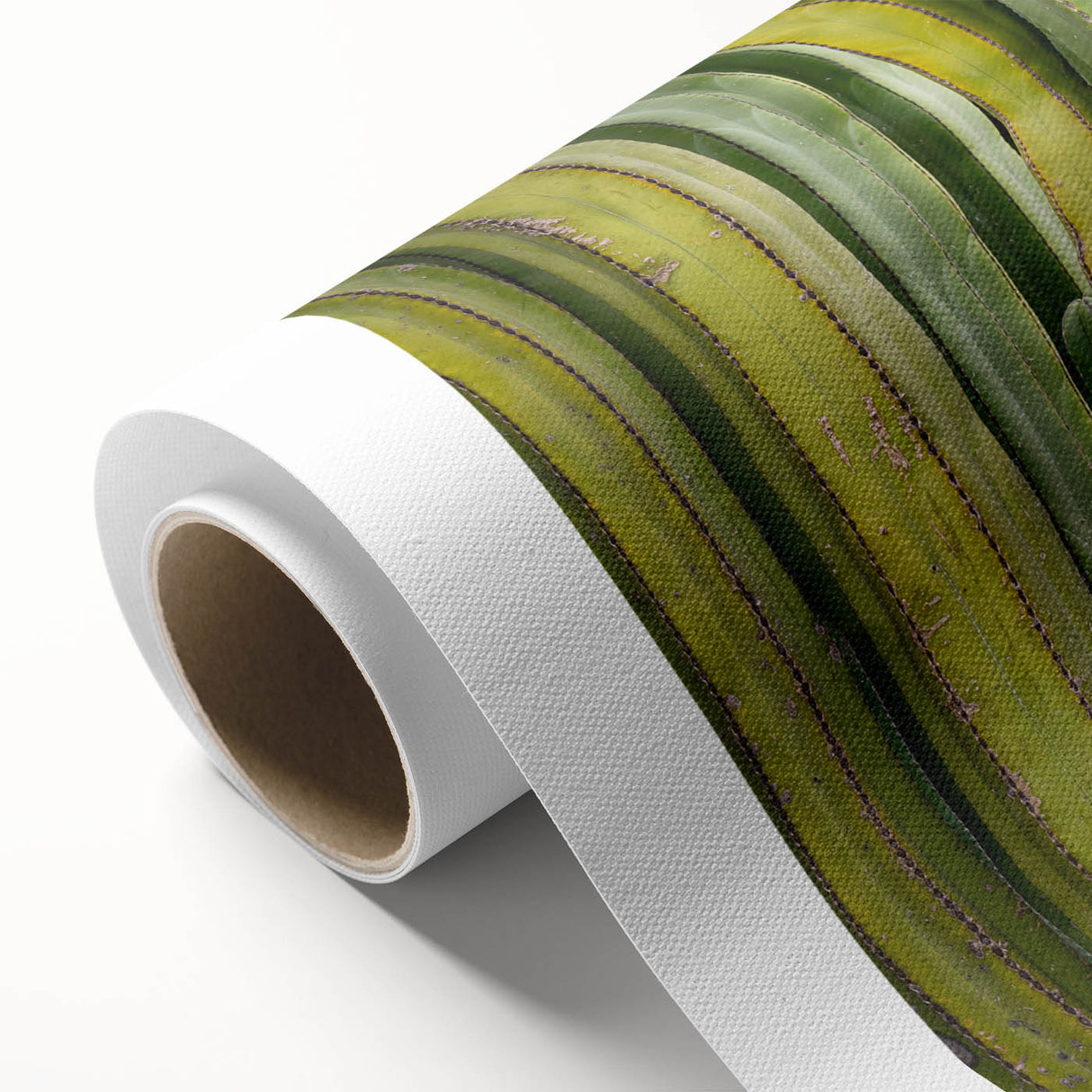 Art Deco style poster of Oaxaca, Mexico scenery on rolled canvas, ideal for nursery wall art.