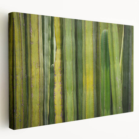 Panoramic view of Oaxaca, Mexico on large stretched canvas with vibrant earth tones, ideal for kitchen wall art.