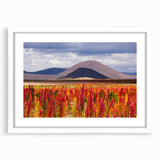 Abstract art print depicting a Bolivian landscape in muted earth tones, framed with a white mat.
