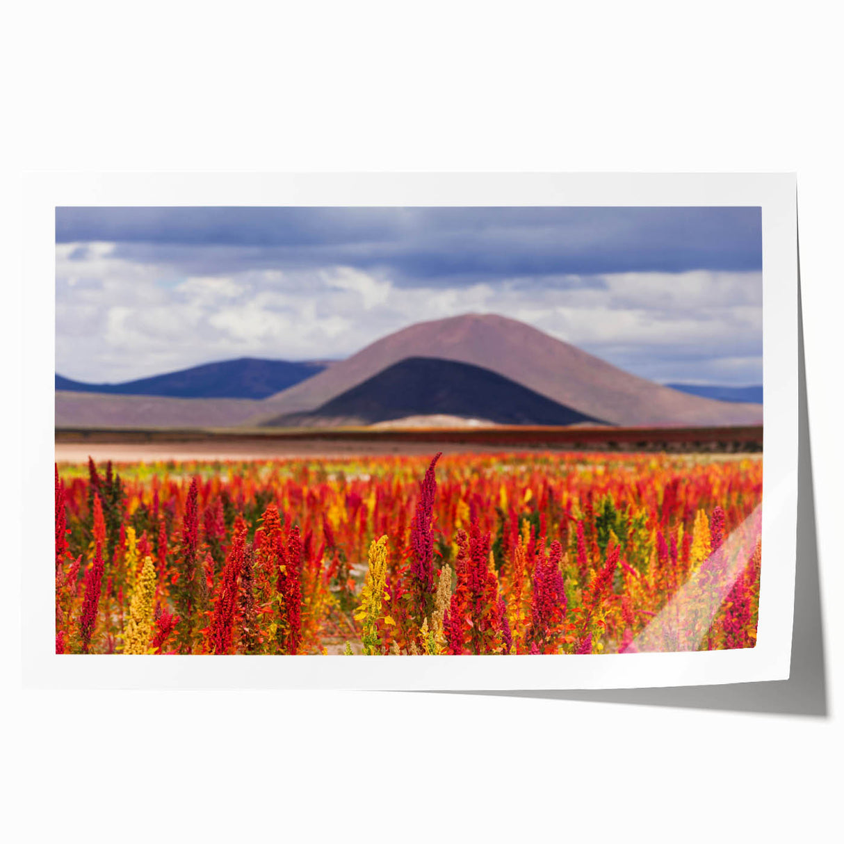 Rolled print of a Bolivian landscape with vibrant green and earth tones, ideal for art wall dining room decor.