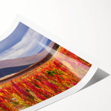 Extra large wall art featuring line art flowers in muted earth tones on a rolled canvas, ideal for large living room decor.