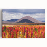 Black and white image of Bolivian landscape on large stretched canvas, suitable as kitchen art.