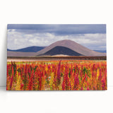 Black and white stretched canvas of a Bolivian landscape, ideal for kitchen wall art or bedroom ambiance.