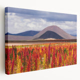 Large canvas print of a scenic Bolivian landscape in earthy tones, suitable for kitchen wall art.