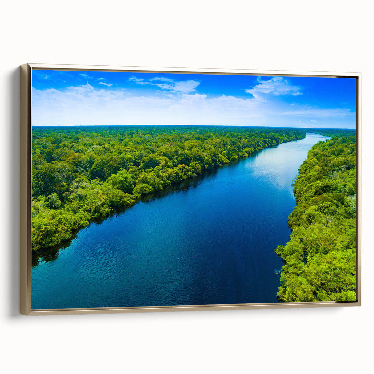 Framed canvas featuring a vintage-style landscape painting of a Brazilian scene in muted gold and black tones.