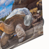 Large abstract wall art depicting the Galapagos scenery, in vibrant blue and green hues on acrylic glass.
