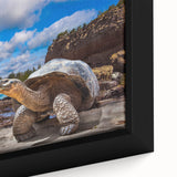 Extra large framed canvas of a black textured art piece depicting colorful Galapagos scenery, ideal for living room decor.