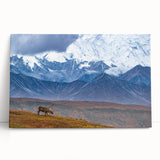 Black and white wall art of Alaskan scenery on stretched canvas, ideal for kitchen wall art or bedroom decor.