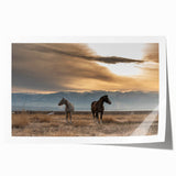 Rolled print of a Montana landscape with vibrant green meadows and blue skies, ideal for art wall dining room decor.