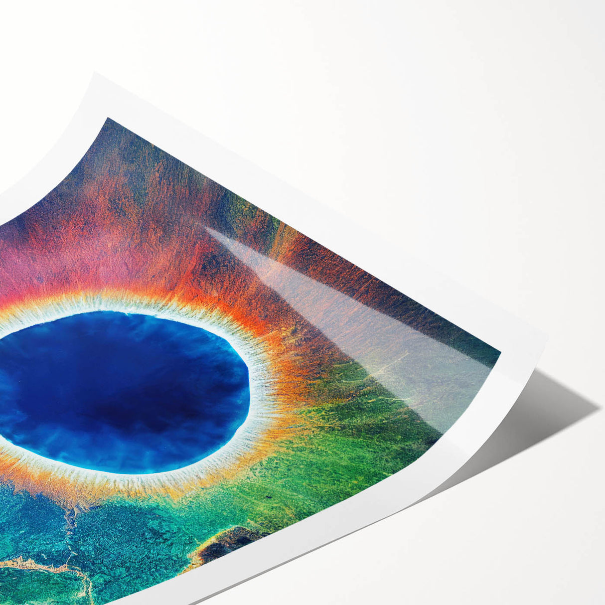 Extra large rolled print of line art flowers in Yellowstone, featuring muted earth tones.