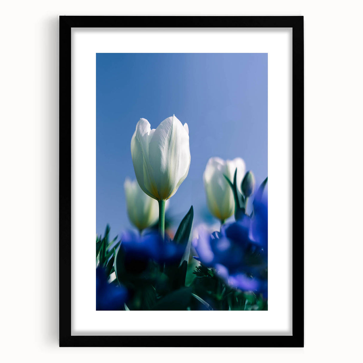 Extra large abstract art print featuring textured, colorful swirls on a black framed canvas, ideal for living room decor.