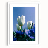 Abstract art print depicting the spring season with soft pastel hues on a white framed canvas, ideal for dining room decor.