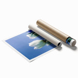 Extra large rolled print featuring a floral design in pastel shades, ideal for classy bathroom or large living room wall art.