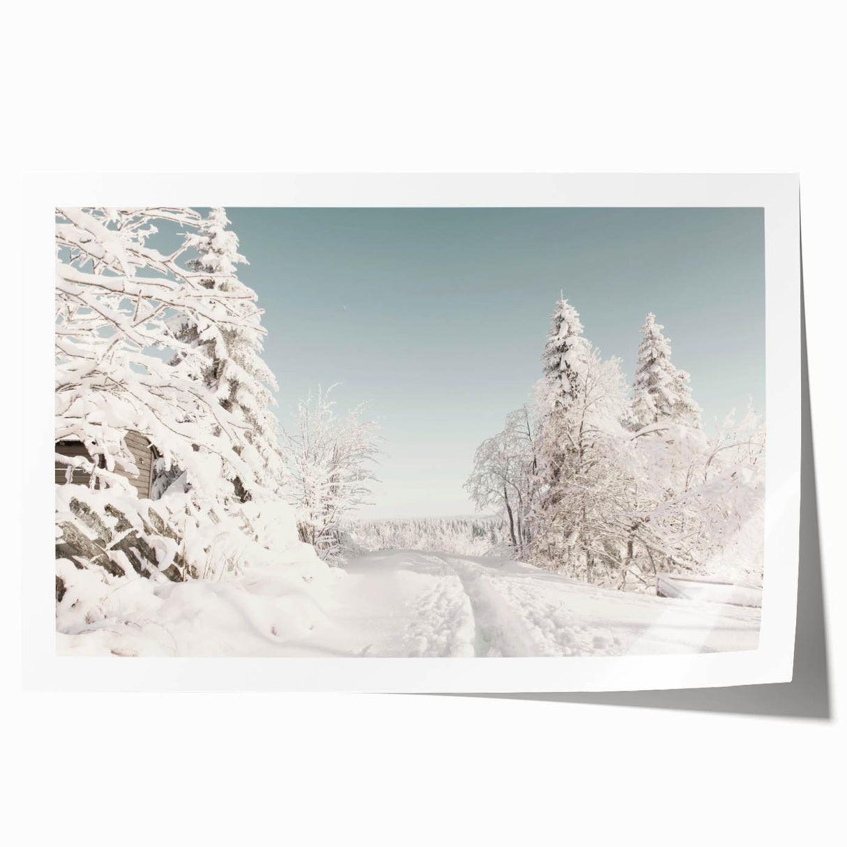 Extra large rolled canvas featuring a winter floral scene in muted blues and whites, ideal for art wall dining room.