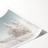 Extra large wall art featuring line art flowers in black on white, rolled print, ideal for large living room wall decor.