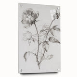 Abstract floral acrylic glass artwork in vibrant colors, showcasing a side view with decorative pins, ideal for modern home decor. Perfect for art enthusiasts.