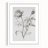 Abstract floral frame with a white mat, showcasing vibrant colors and intricate designs, ideal for enhancing modern home decor. Perfect for wall art enthusiasts.