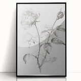 Framed acrylic artwork showcasing abstract floral designs in vibrant colors, set against a sleek black frame, ideal for modern home decor.