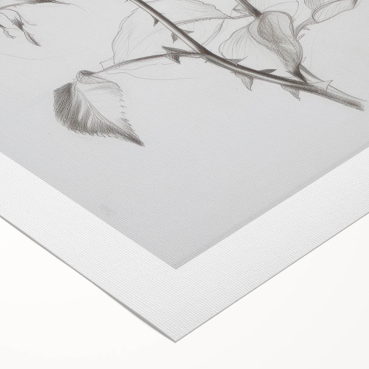 Abstract floral design on a rolled canvas, showcasing vibrant colors and intricate patterns, packaged securely in a sturdy cardboard tube for easy transport and display.