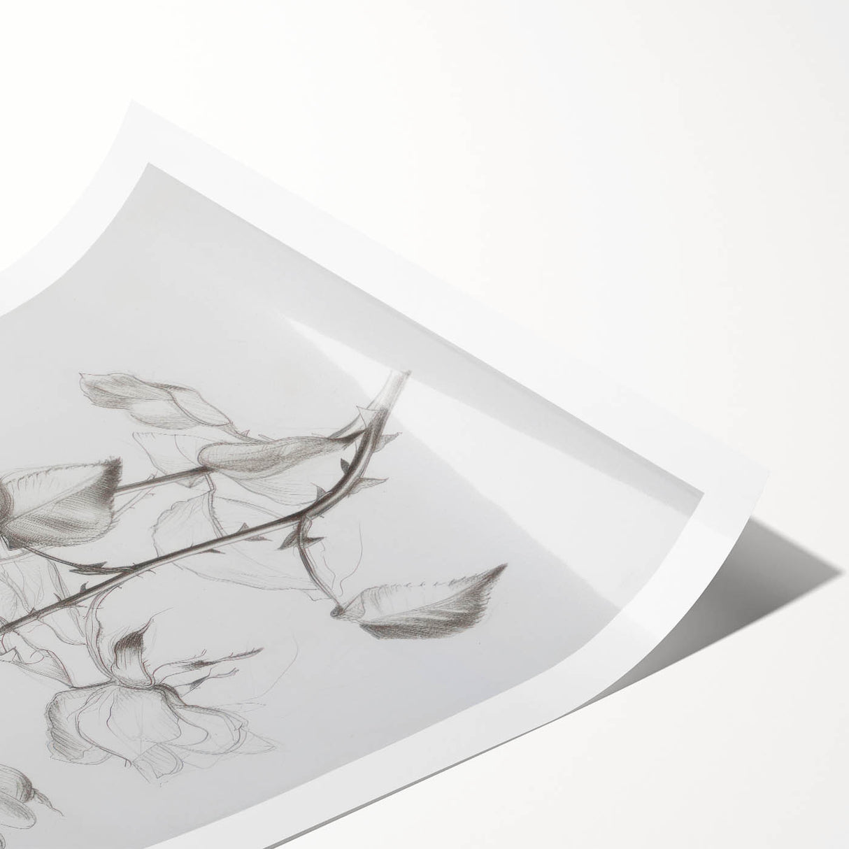 Vibrant abstract floral rolled print featuring soft pinks, greens, and yellows, showcased in a durable cardboard tube for easy storage and display. Perfect for modern home decor.