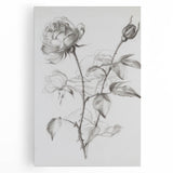 Colorful abstract floral stretched canvas art showcasing vibrant hues of pink, blue, and green, perfect for modern home decor and wall enhancement.