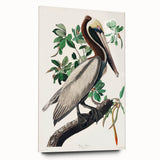 Famous Romantic Era Art: Green Begonia Rex Canvas Print