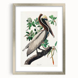 Famous Romantic Era Art: Green Begonia Rex Canvas Print