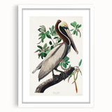 Famous Romantic Era Art: Green Begonia Rex Canvas Print