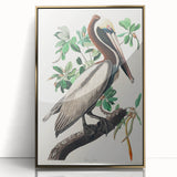 Famous Romantic Era Art: Green Begonia Rex Canvas Print