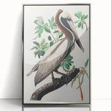 Famous Romantic Era Art: Green Begonia Rex Canvas Print