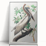 Famous Romantic Era Art: Green Begonia Rex Canvas Print