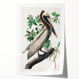 Famous Romantic Era Art: Green Begonia Rex Canvas Print