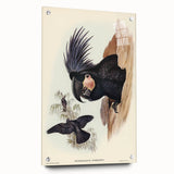 Historical Romanticism Canvas: Ring-necked Pheasant Artwork