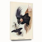 Historical Romanticism Canvas: Ring-necked Pheasant Artwork
