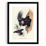 Historical Romanticism Canvas: Ring-necked Pheasant Artwork