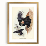 Historical Romanticism Canvas: Ring-necked Pheasant Artwork