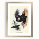 Historical Romanticism Canvas: Ring-necked Pheasant Artwork