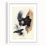 Historical Romanticism Canvas: Ring-necked Pheasant Artwork