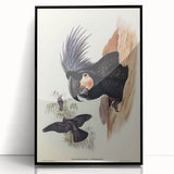Historical Romanticism Canvas: Ring-necked Pheasant Artwork