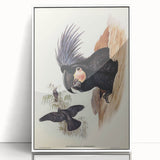 Historical Romanticism Canvas: Ring-necked Pheasant Artwork