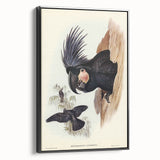 Historical Romanticism Canvas: Ring-necked Pheasant Artwork