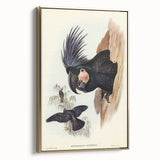 Historical Romanticism Canvas: Ring-necked Pheasant Artwork