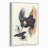 Historical Romanticism Canvas: Ring-necked Pheasant Artwork
