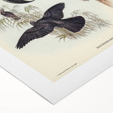 Historical Romanticism Canvas: Ring-necked Pheasant Artwork